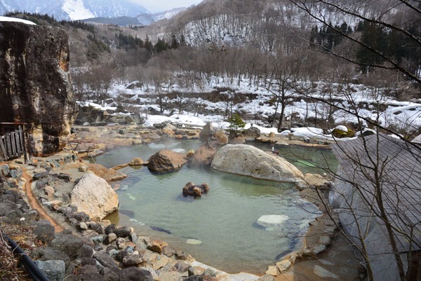 冬の大露天風呂全景