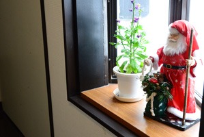 出窓ごとにクリスマスの装飾がしてあります