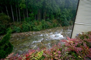 露天風呂横には熊野川が流れている
