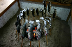囲炉裏で岩魚を焼いている